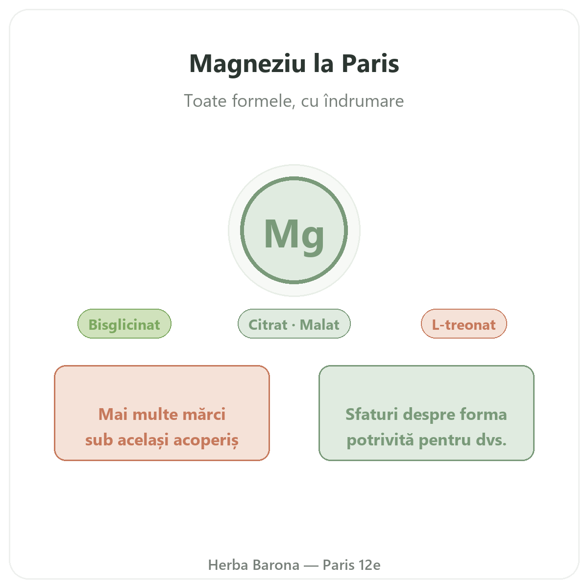 Magnesium Paris Paris - presentation de la marque chez Herba Barona Paris 12e
