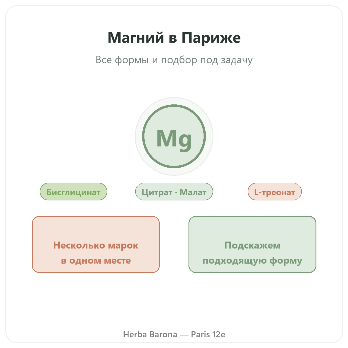 Магний в Париже — презентация в Herba Barona, Париж, 12-й округ