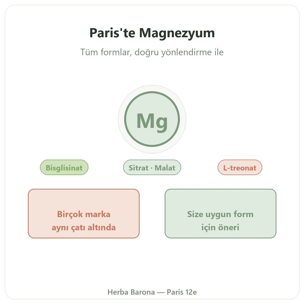 Magnezyum Paris - Herba Barona Paris 12. bölge markasının tanıtımı