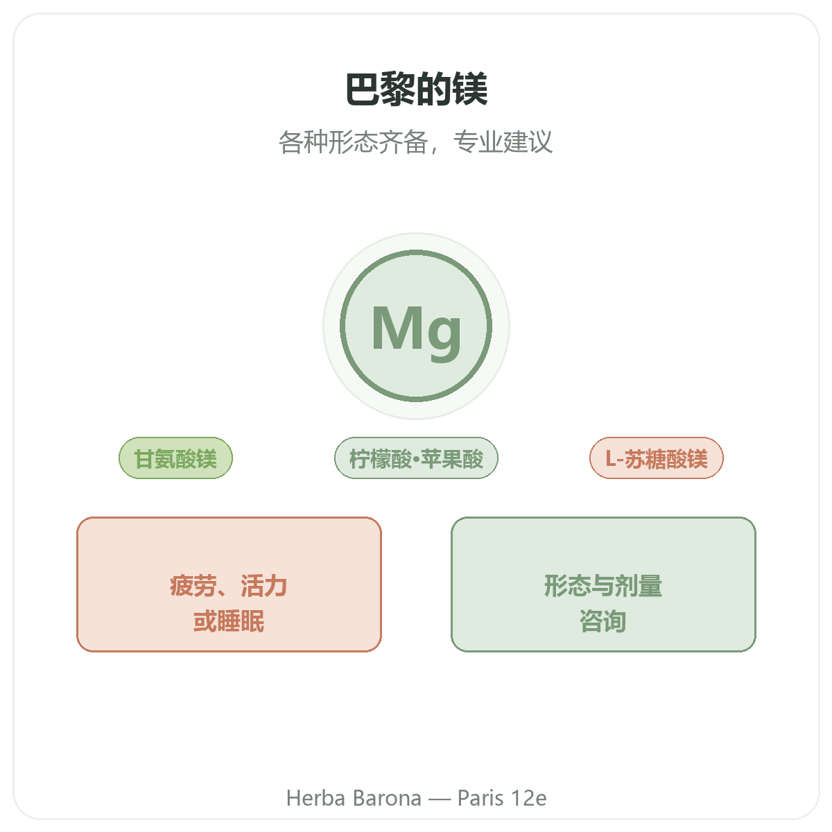 镁品牌介绍 - 巴黎Herba Barona 12区
