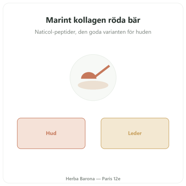 Marint kollagen i pulver, smak röda bär – Novoma presentation Paris Herba Barona