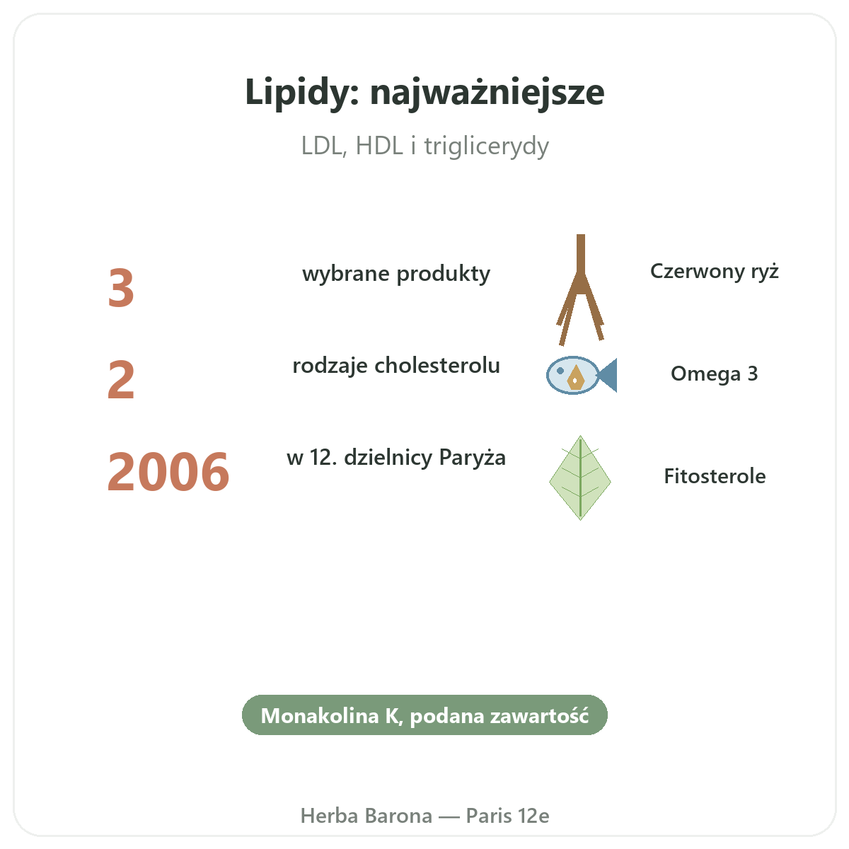 Równowaga lipidowa w skrócie - kluczowe informacje dla polskich klientów