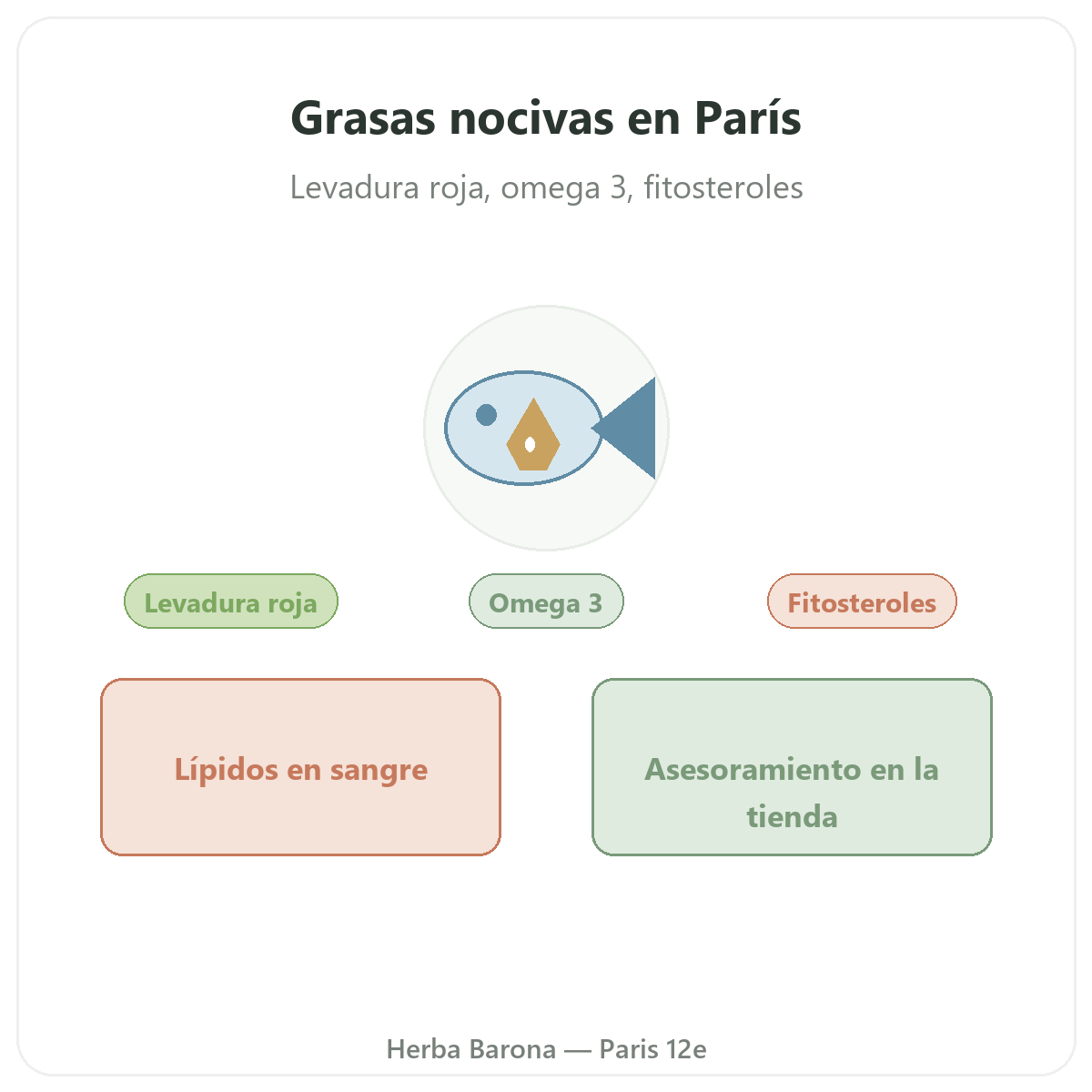 Complementos equilibrio lipídico en París - en Herba Barona París 12e
