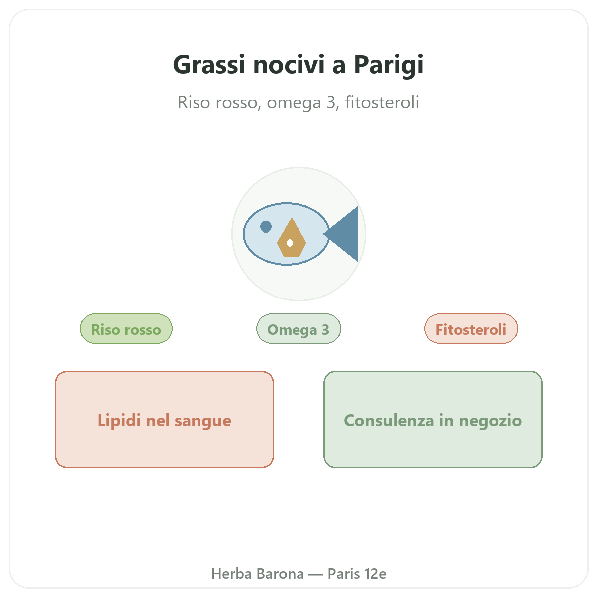 Integratori equilibrio lipidico a Parigi - da Herba Barona Parigi 12e