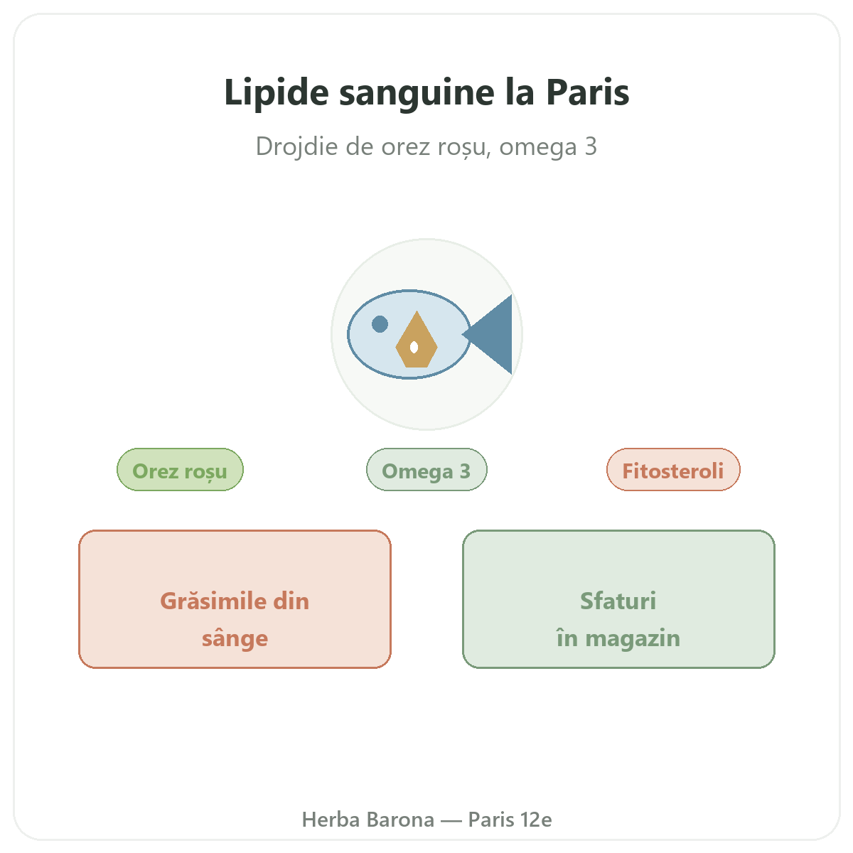 Suplimente pentru echilibru lipidic la Paris - la Herba Barona Paris, arondismentul 12