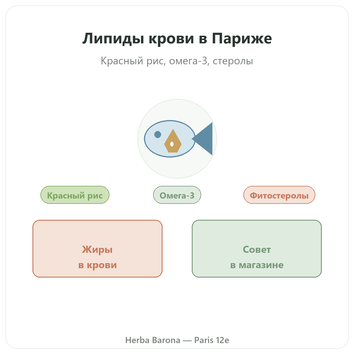 Добавки для липидного баланса в Париже - в Herba Barona Париж, 12-й округ
