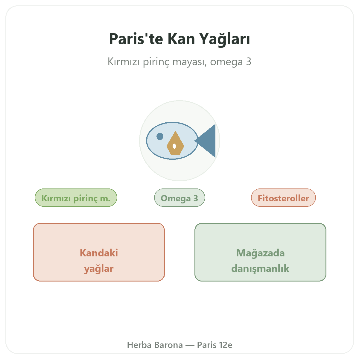Paris’te lipid dengesi takviyeleri - Herba Barona Paris 12. bölgede