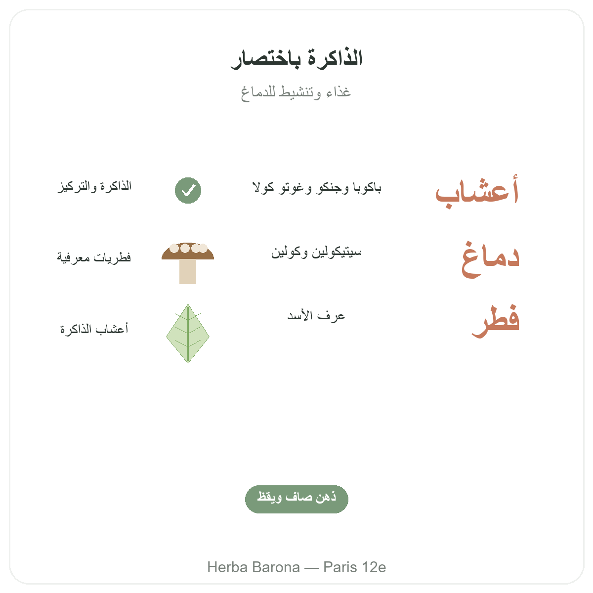 الذاكرة والتركيز في باريس بإيجاز - أرقام أساسية لدى Herba Barona باريس الدائرة 12