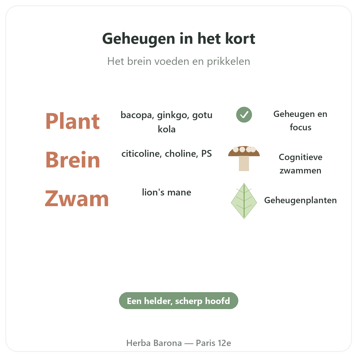 Geheugen en concentratie Parijs in het kort - kerncijfers bij Herba Barona Parijs 12e