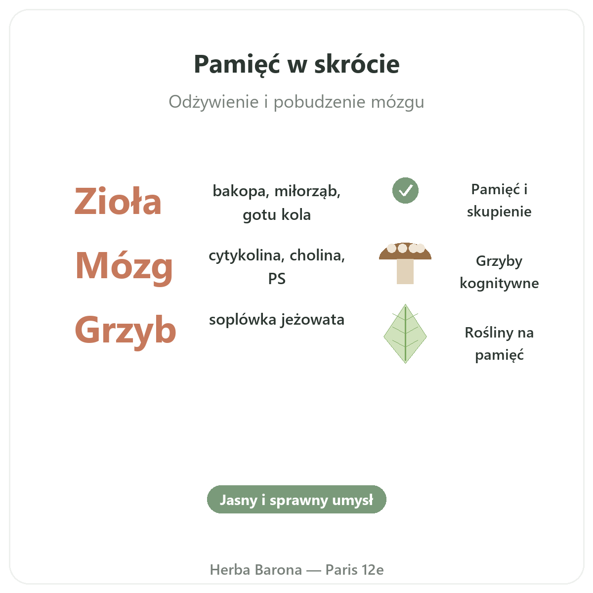Pamięć i koncentracja w Paryżu w skrócie - kluczowe liczby w Herba Barona Paryż 12