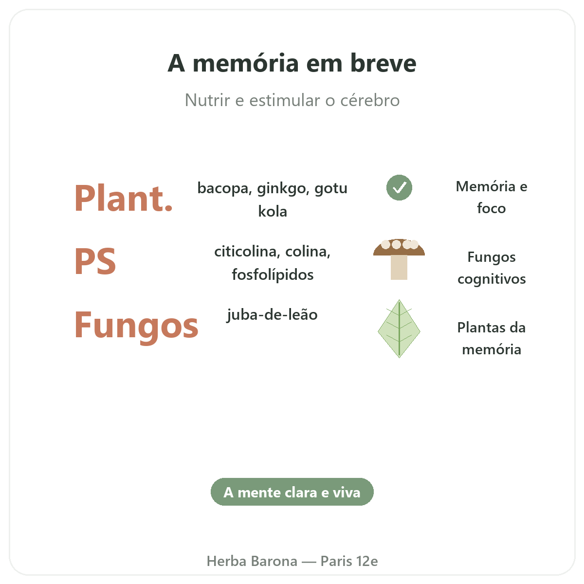 Memória concentração Paris em resumo - números-chave na Herba Barona Paris 12e