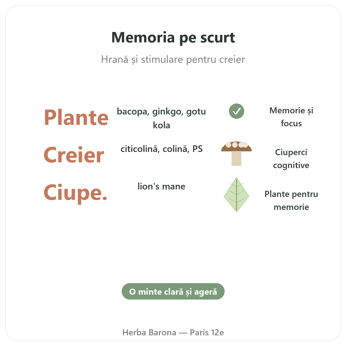 Memorie concentrare Paris pe scurt - cifre cheie la Herba Barona Paris, arondismentul 12
