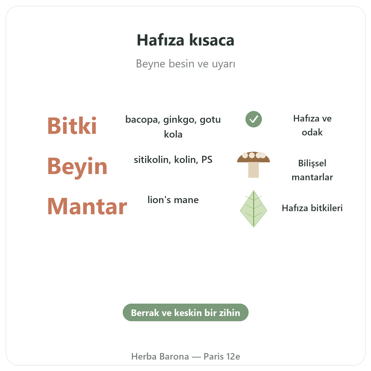 Paris’te hafıza ve konsantrasyon özet - Herba Barona Paris 12. bölgede önemli rakamlar