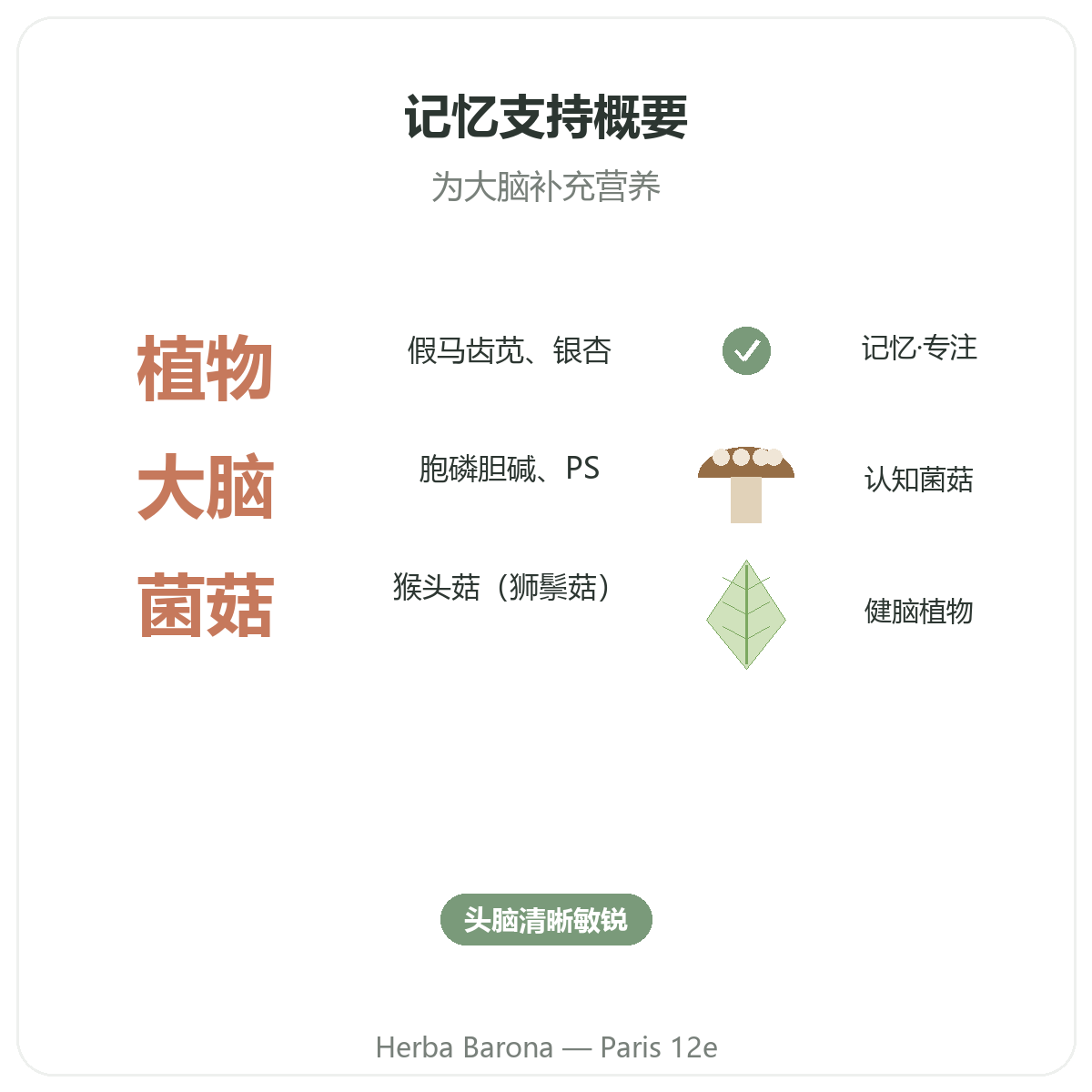 记忆力 专注力 巴黎 概览——关键数据——Herba Barona 巴黎12区