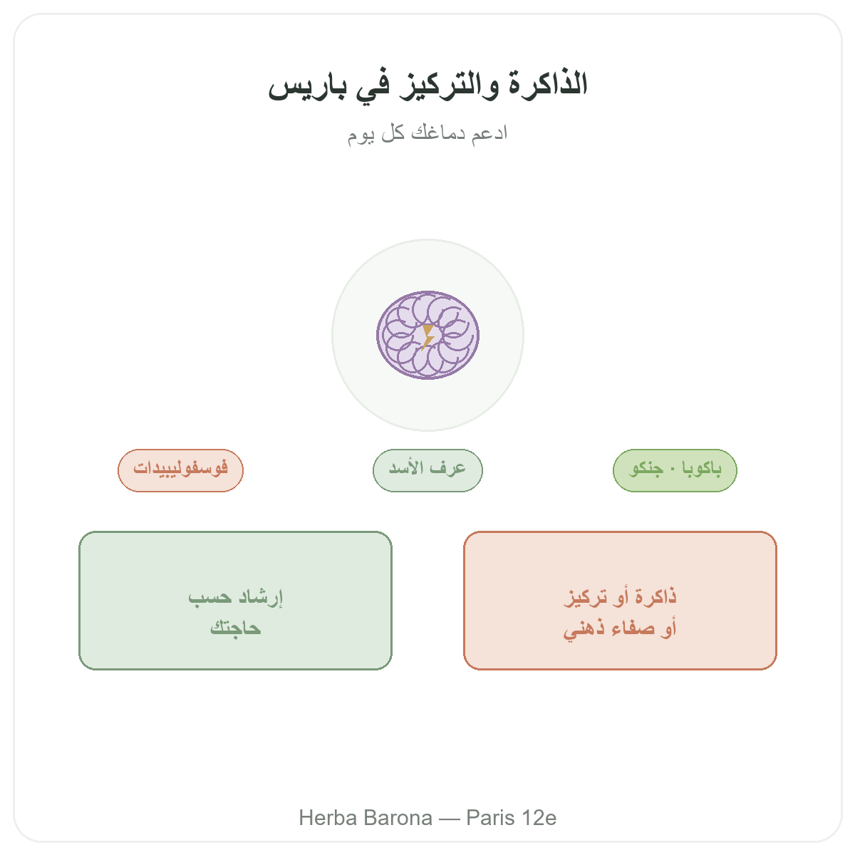 الذاكرة والتركيز في باريس - تقديم العلامة لدى Herba Barona باريس الدائرة 12