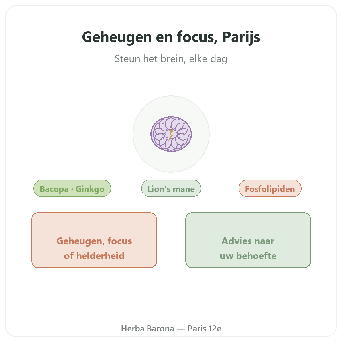 Geheugen en concentratie Parijs - presentatie van het merk bij Herba Barona Parijs 12e