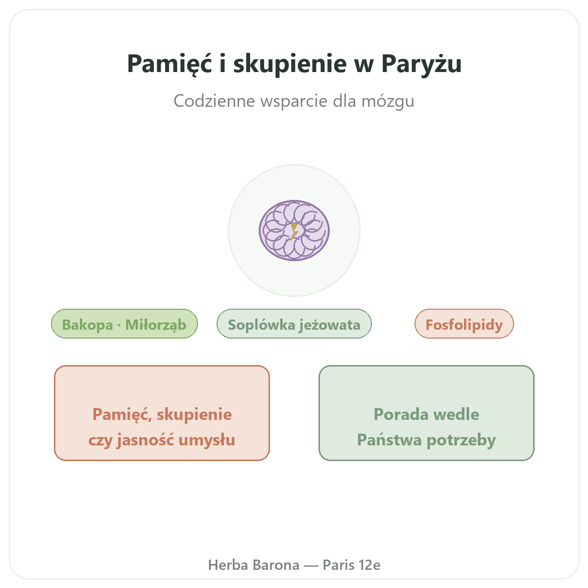 Pamięć i koncentracja w Paryżu - prezentacja marki w Herba Barona Paryż 12
