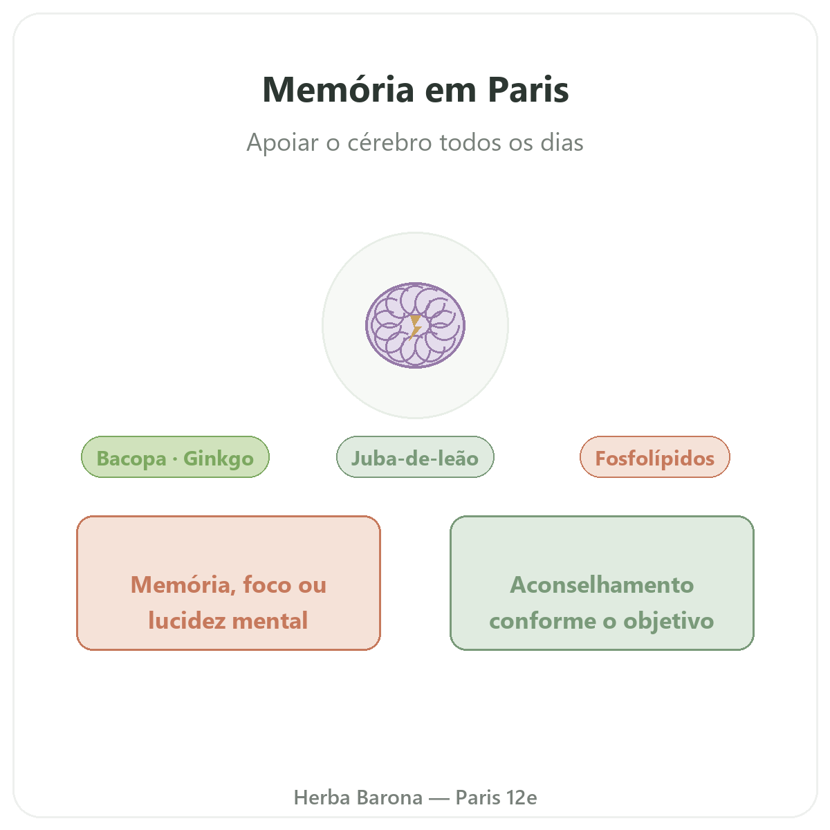 Memória concentração Paris - apresentação da marca na Herba Barona Paris 12e