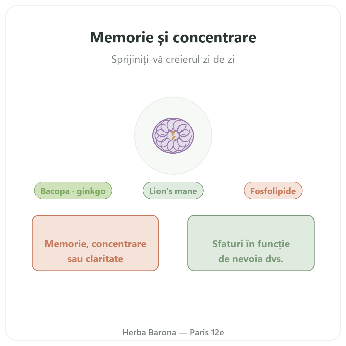 Memorie concentrare Paris - prezentarea mărcii la Herba Barona Paris, arondismentul 12