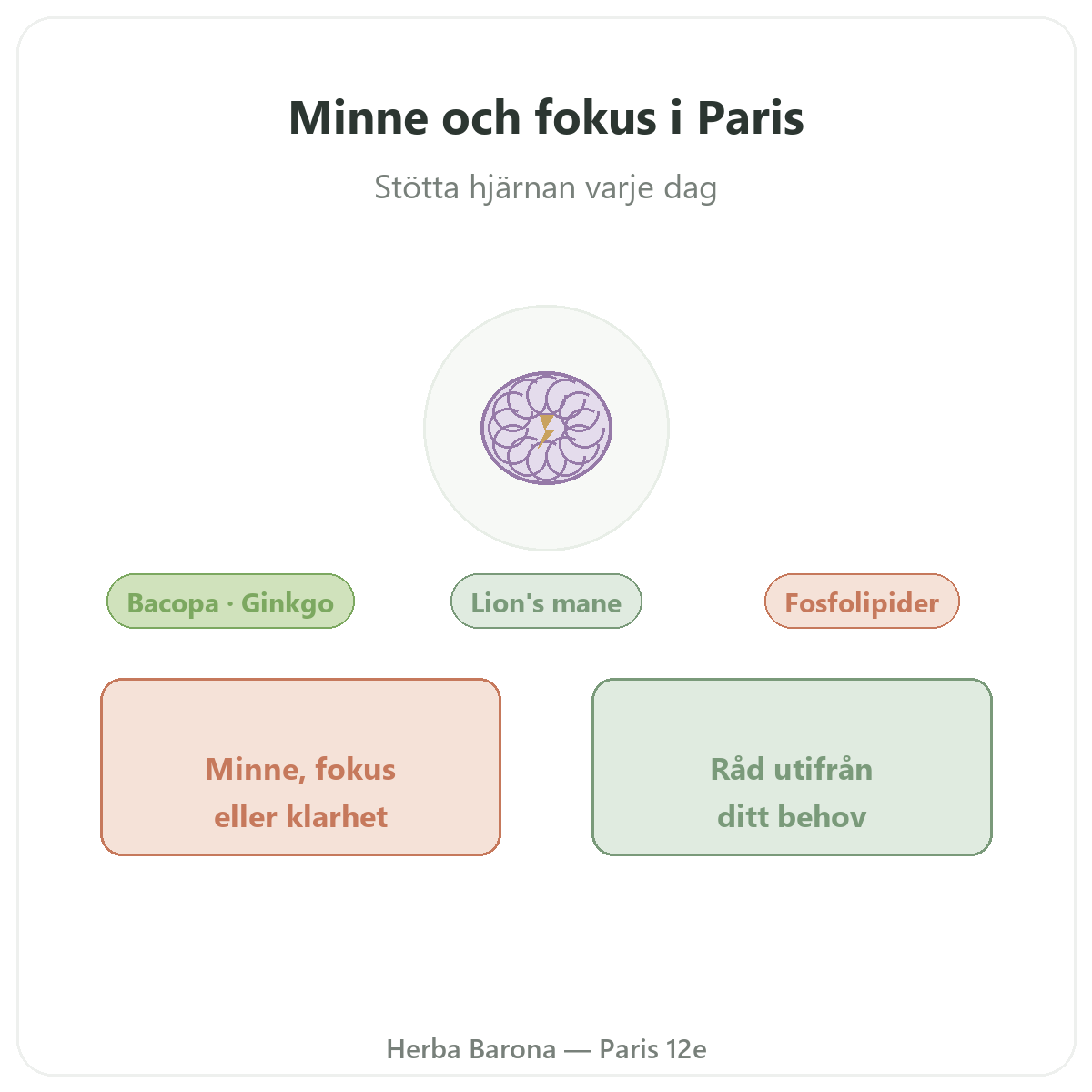 Minne och koncentration Paris - presentation hos Herba Barona Paris 12e