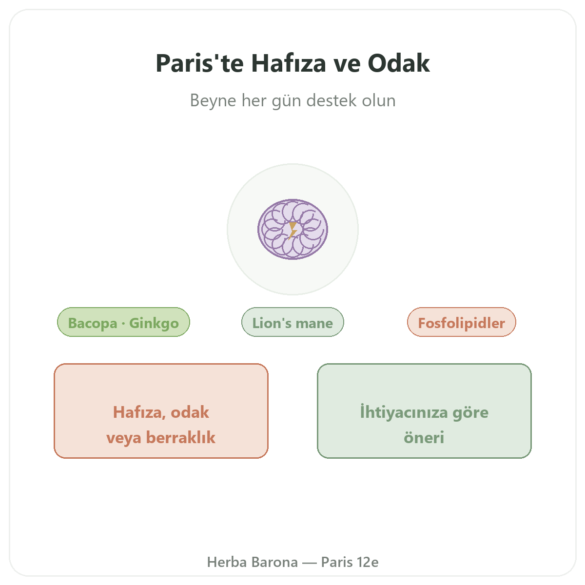 Paris’te hafıza ve konsantrasyon - Herba Barona Paris 12. bölgede marka tanıtımı
