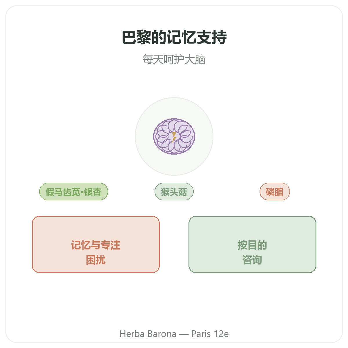 记忆力 专注力 巴黎——品牌介绍——Herba Barona 巴黎12区