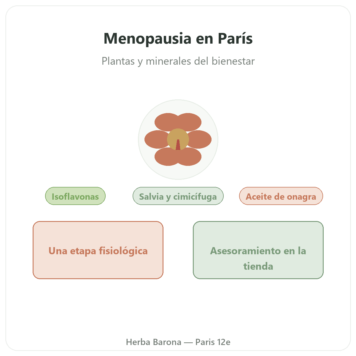 Complementos menopausia en París - en Herba Barona París 12e
