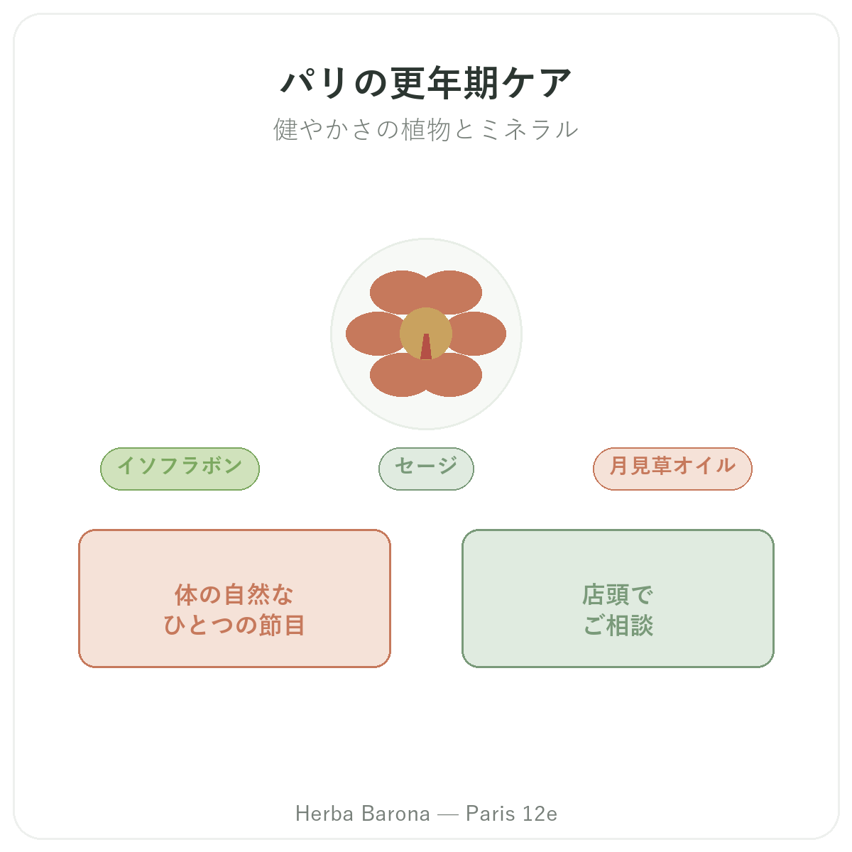 更年期サポート製品 パリ - Herba Barona パリ12区