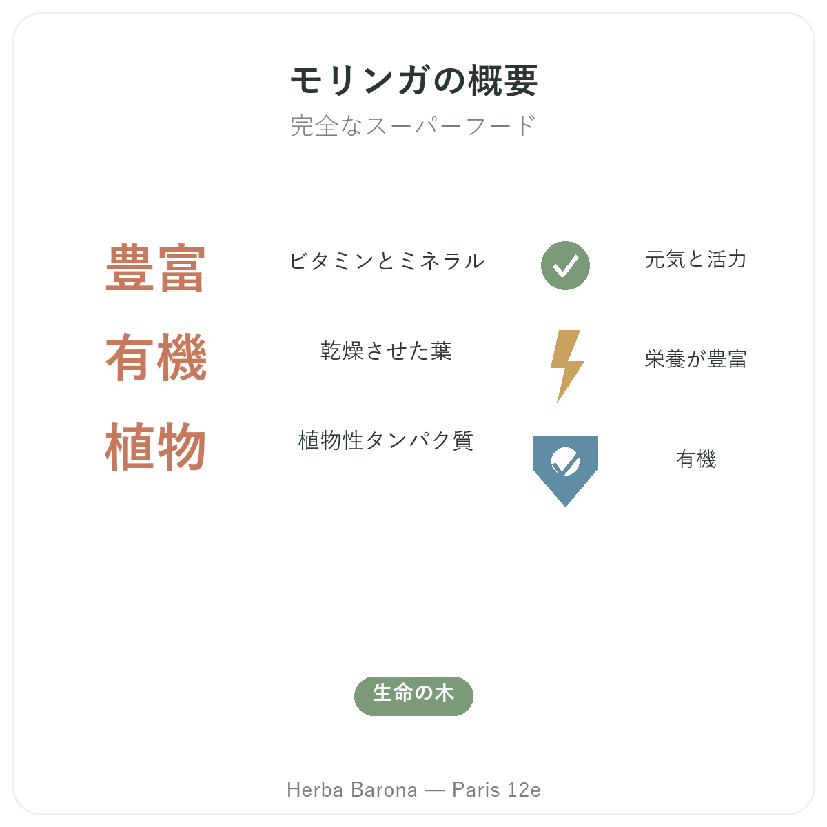 モリンガ パリ 概要 - 主要データ Herba Barona パリ12区