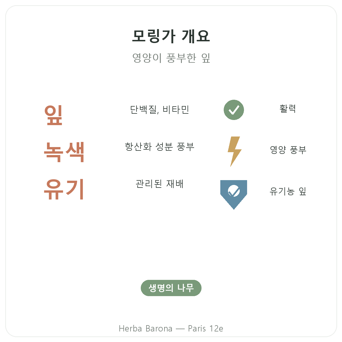 모링가 파리 요약 - 주요 수치, Herba Barona 파리 12구