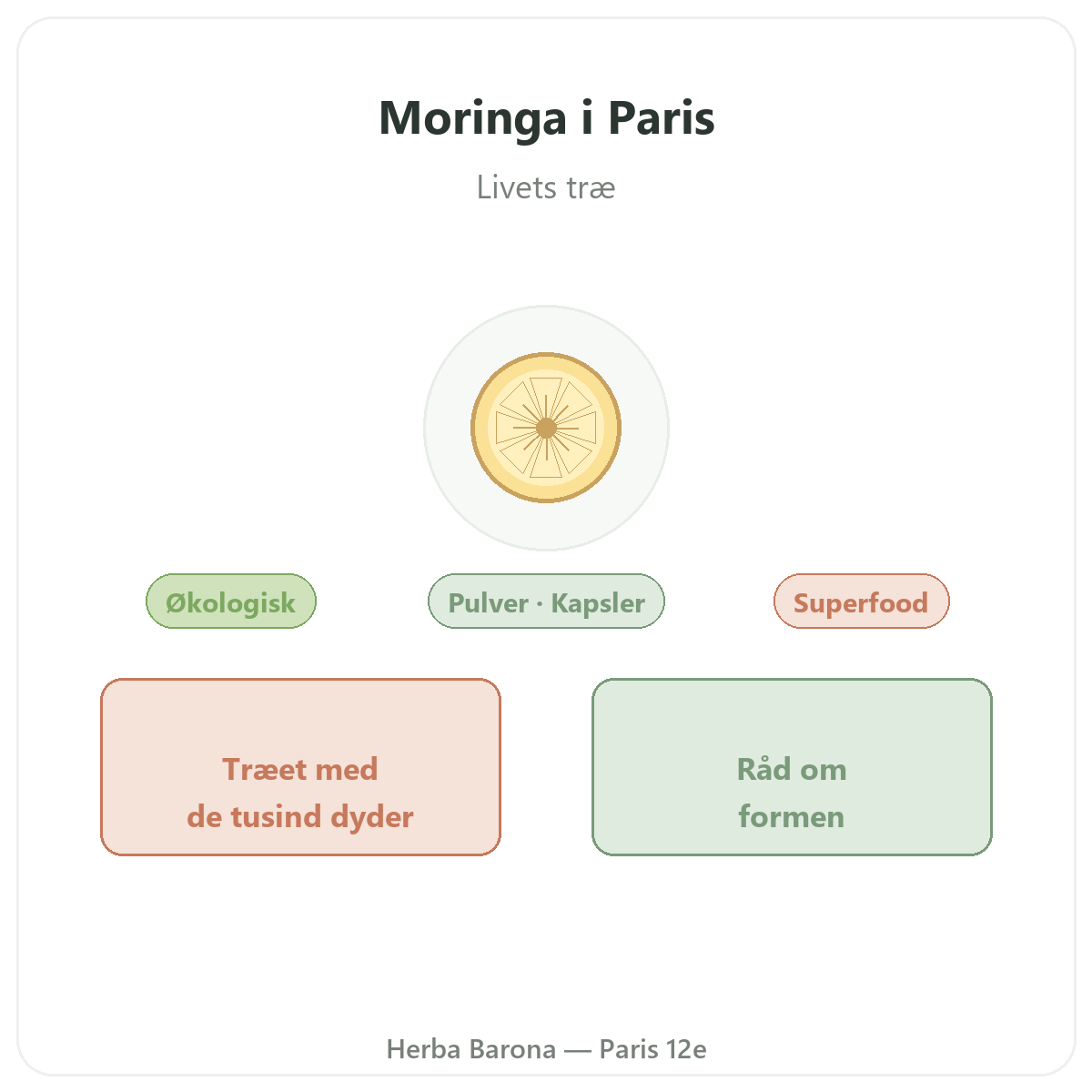 Moringa Paris Paris - præsentation af mærket hos Herba Barona Paris 12