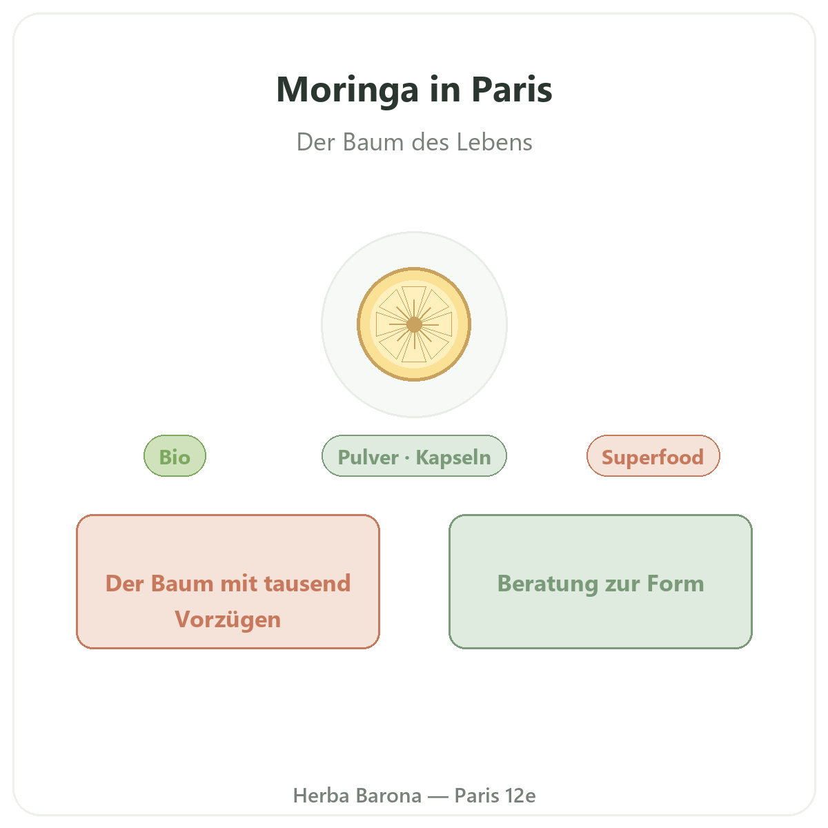 Moringa Paris - Markenvorstellung bei Herba Barona Paris 12e