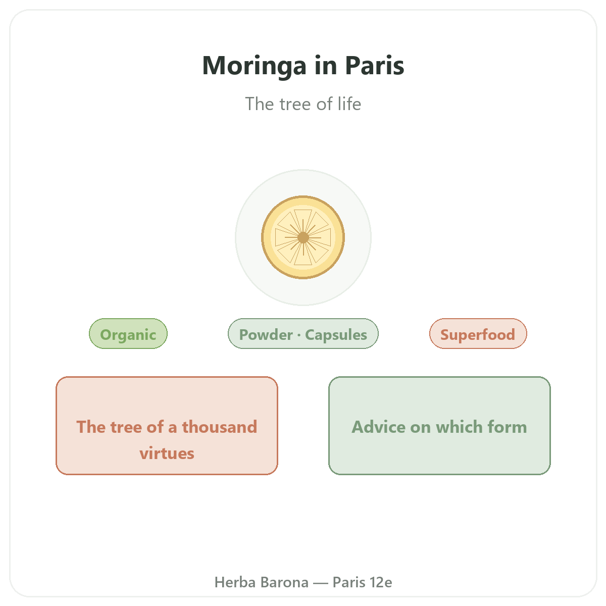 Moringa in Paris - brand overview at Herba Barona Paris 12th