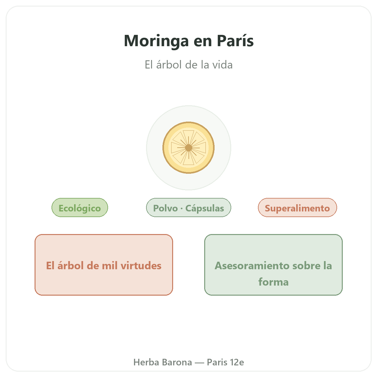 Moringa París - presentación de la marca en Herba Barona París 12e