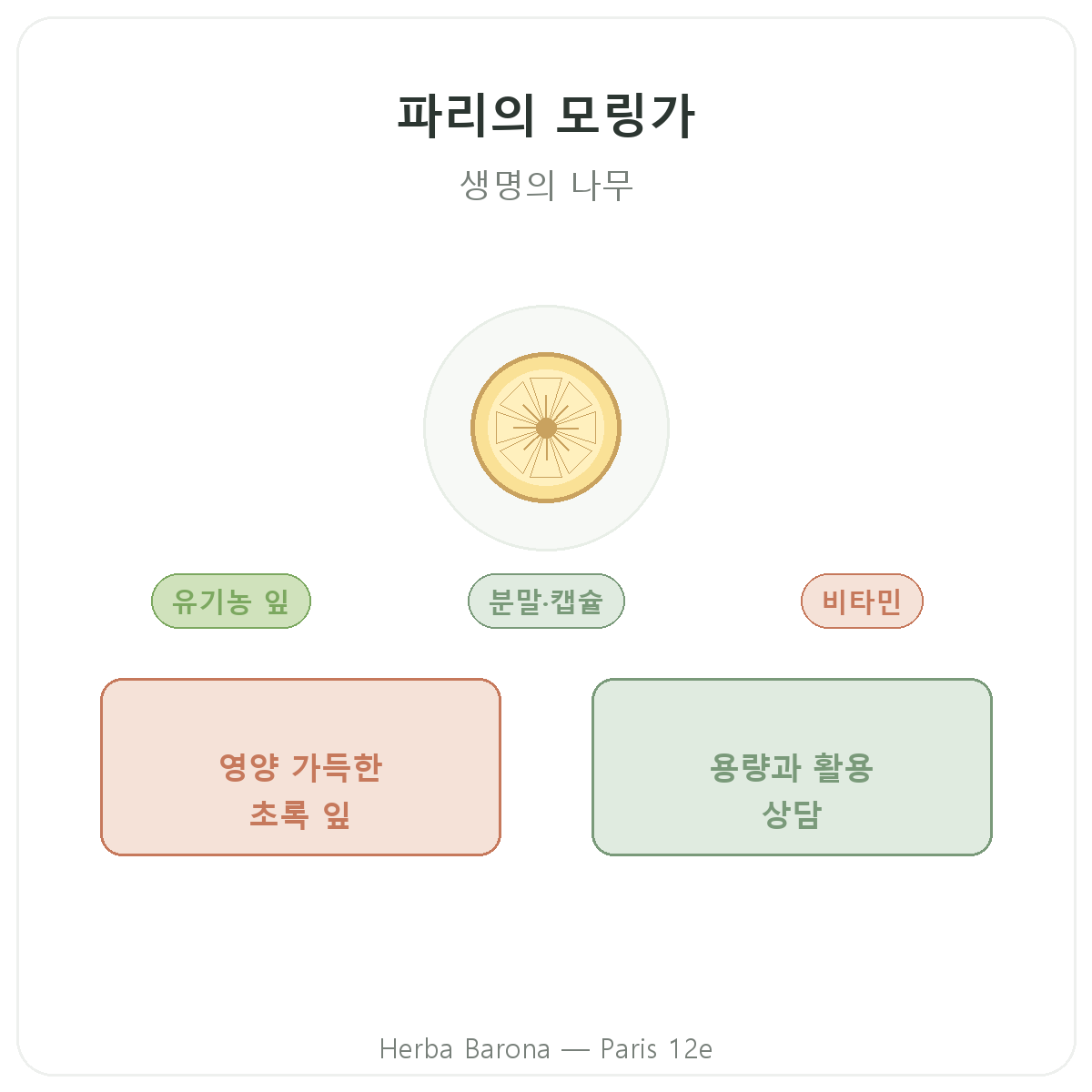 모링가 파리 - 브랜드 소개, Herba Barona 파리 12구