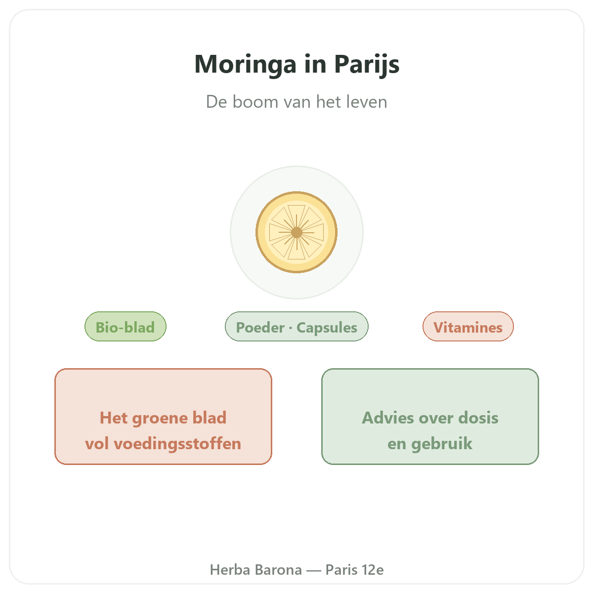 Moringa Parijs - voorstelling van het merk bij Herba Barona Parijs