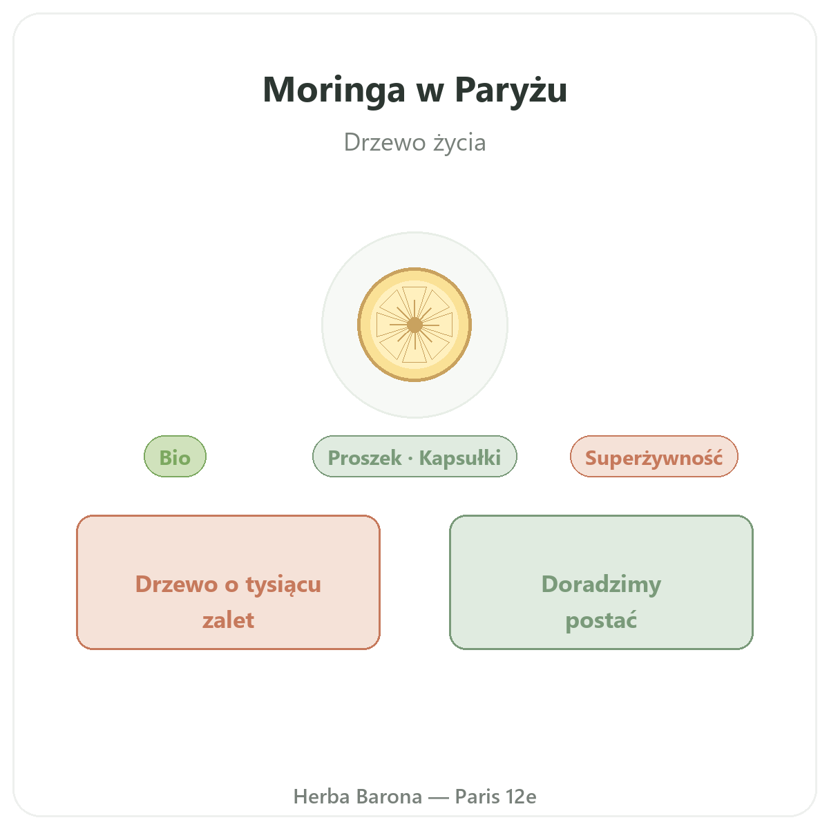 Moringa - prezentacja oferty w sklepie Herba Barona, wysyłka do Polski