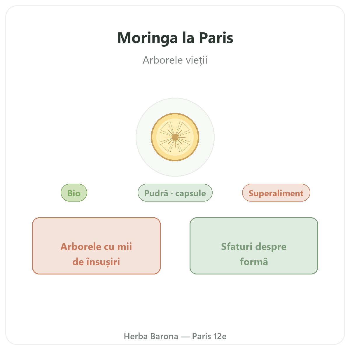 Moringa Paris Paris - prezentarea mărcii la Herba Barona Paris, arondismentul 12