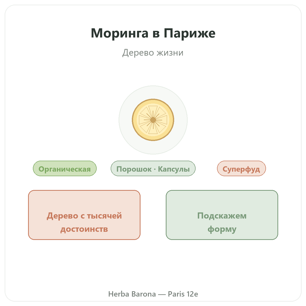 Моринга в Париже — презентация в Herba Barona, Париж, 12-й округ