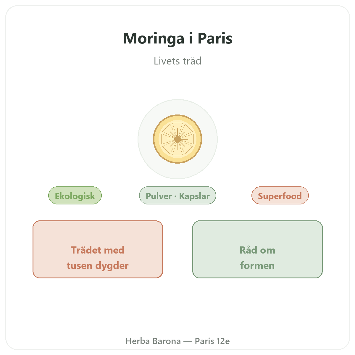 Moringa Paris - presentation av varumärket hos Herba Barona Paris 12e