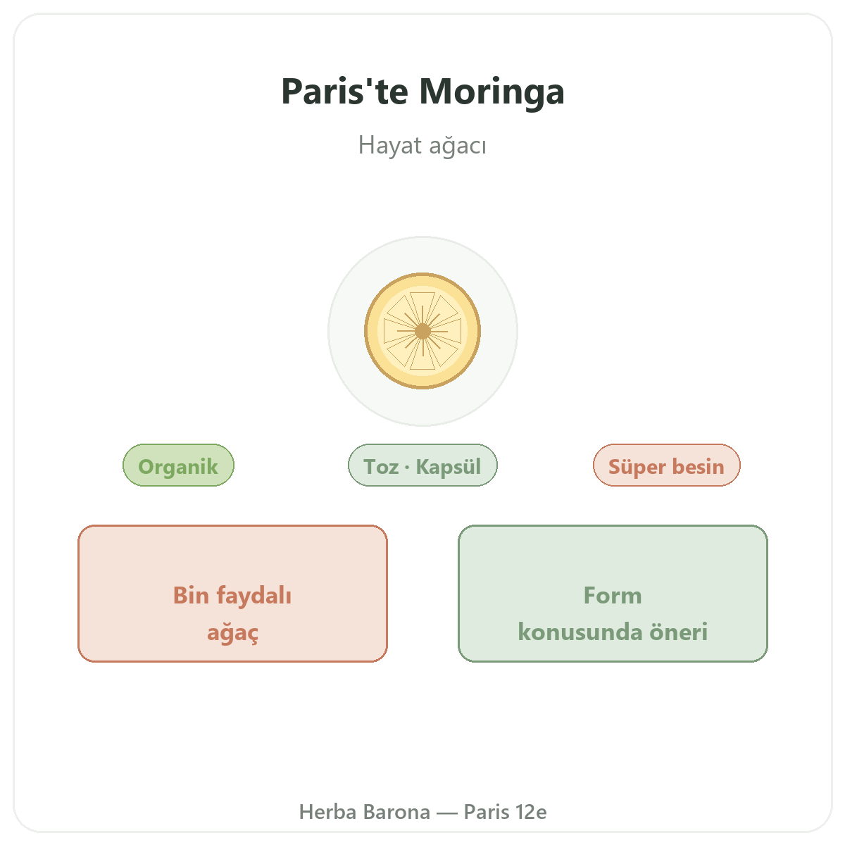 Moringa Paris - Herba Barona markasının tanıtımı, Paris 12. bölge