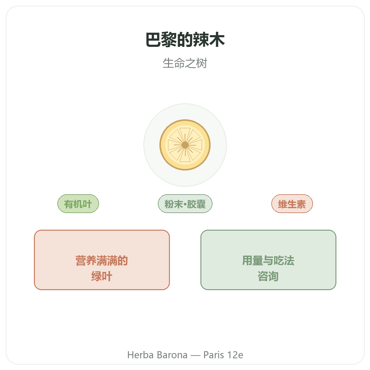 辣木 巴黎——品牌介绍——Herba Barona 巴黎12区