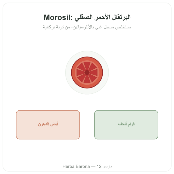 موروسيل – Novoma عرض المنتج Paris Herba Barona