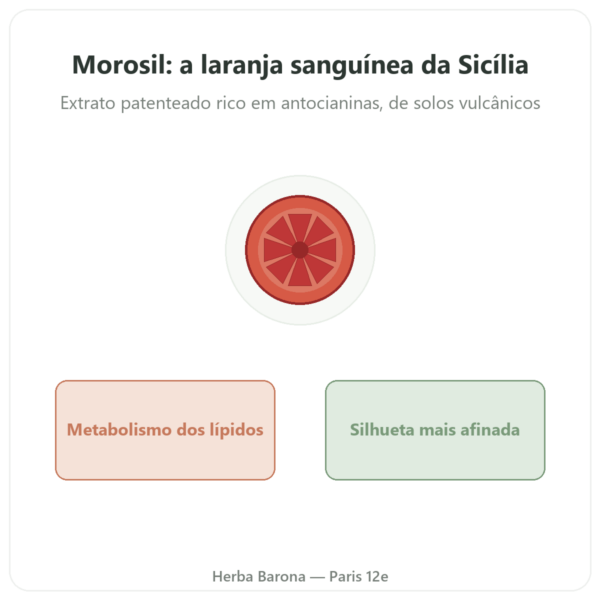Morosil Novoma 60 cápsulas apresentação Paris Herba Barona