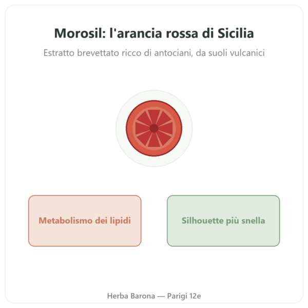 Morosil – Novoma presentazione Paris Herba Barona