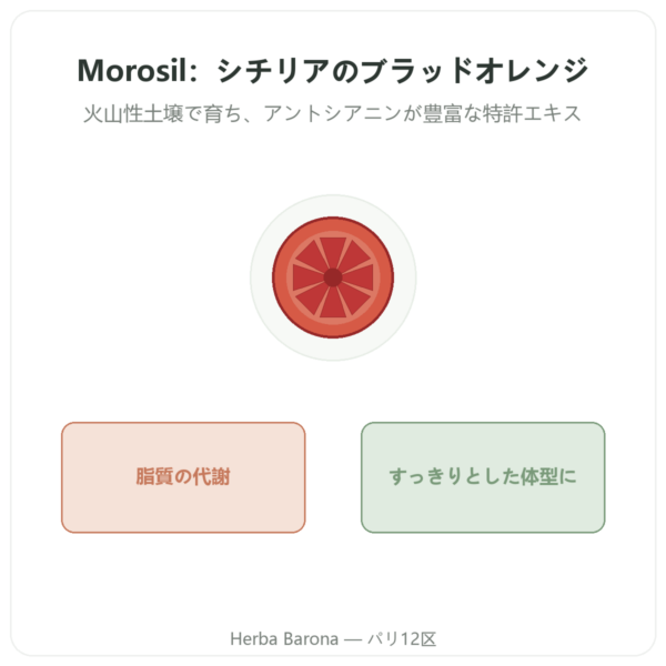 Morosil – Novoma presentation Paris Herba Barona