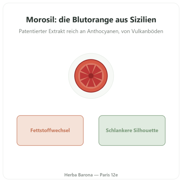 Morosil® Blutorangen-Extrakt – Novoma – 60 Kapseln Vorstellung Paris Herba Barona