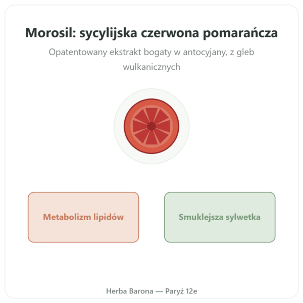 Morosil – Novoma prezentacja Paris Herba Barona