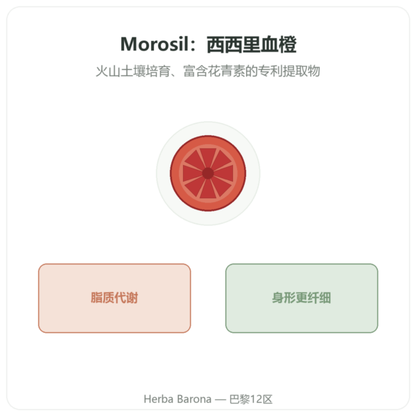 Morosil – Novoma 产品展示 Paris Herba Barona