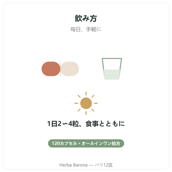 マルチビタミン – Novoma – – 120カプセル quality Paris Herba Barona